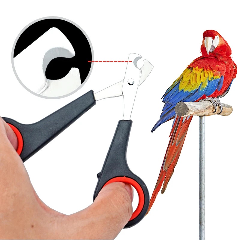 12cm Pet Parrot Nail Scissor D - Grooming Scissors 评论和价格